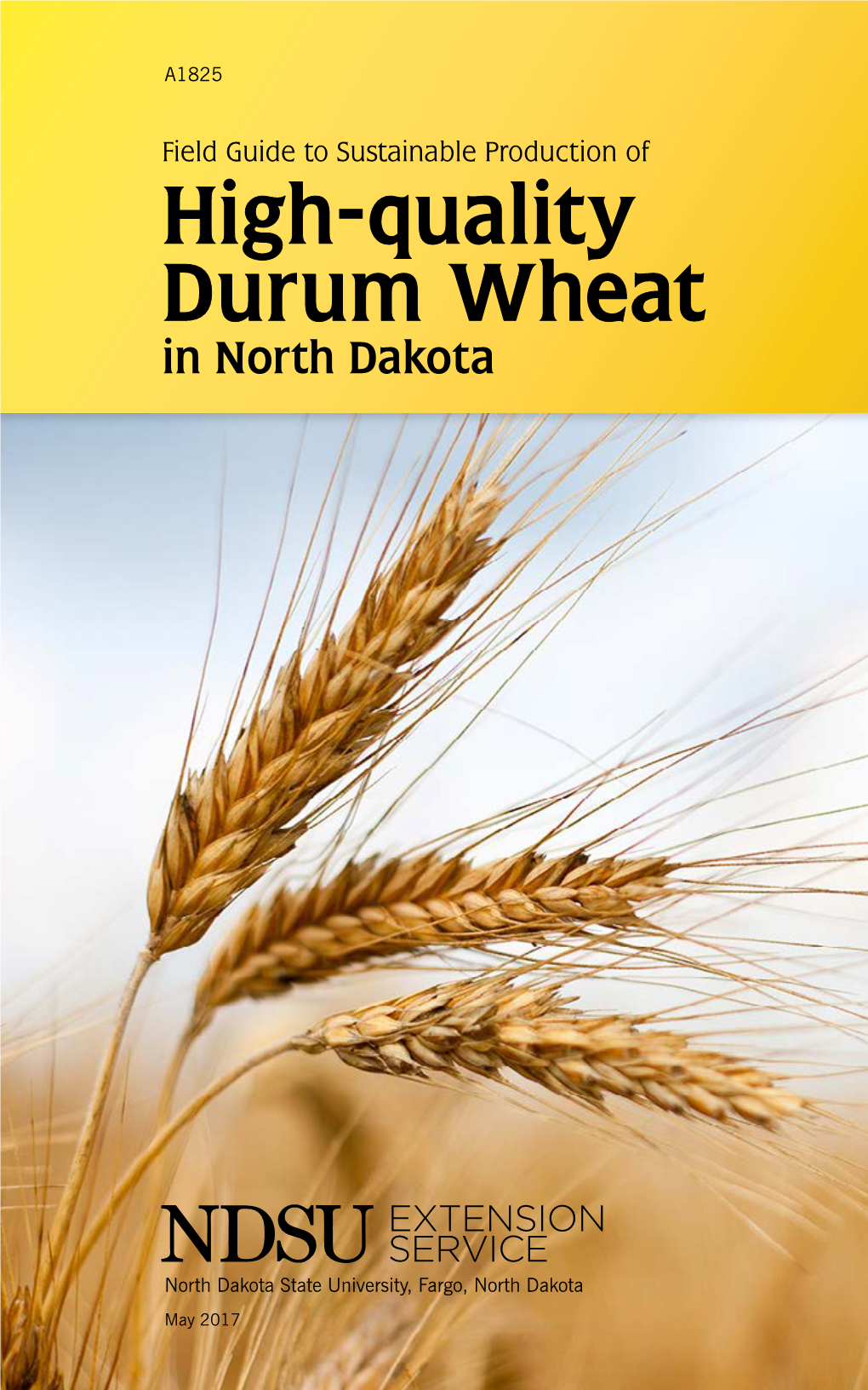 High-Quality Durum Wheat in North Dakota