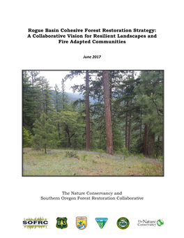 Rogue Basin Cohesive Forest Restoration Strategy: a Collaborative Vision for Resilient Landscapes and Fire Adapted Communities