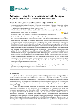 Nitrogen-Fixing Bacteria Associated with Peltigera Cyanolichens and Cladonia Chlorolichens