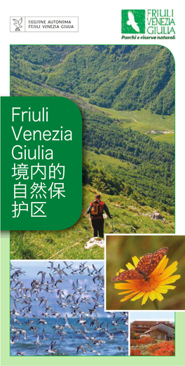 Friuli Venezia Giulia 境内的自然保护区