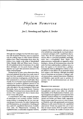 Phylum Nemertea