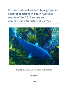 Current Status of Western Blue Groper at Selected Locations in South Australia: Results of the 2014 Survey and Comparison with Historical Surveys