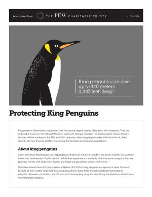Protecting King Penguins Fact Sheet