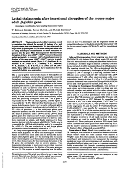 Adult ,8-Globin Gene (Homologous Recombination/Gene Targeting/Locus Control Region) W