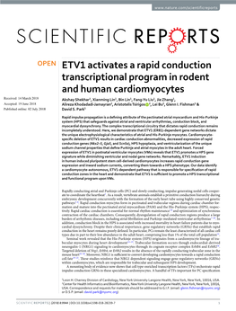 ETV1 Activates a Rapid Conduction Transcriptional Program in Rodent