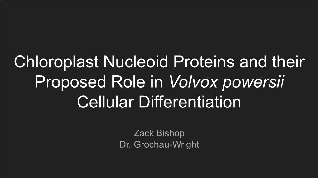 Chloroplast Nucleoid Proteins and Their Proposed Role in Volvox Powersii Cellular Differentiation