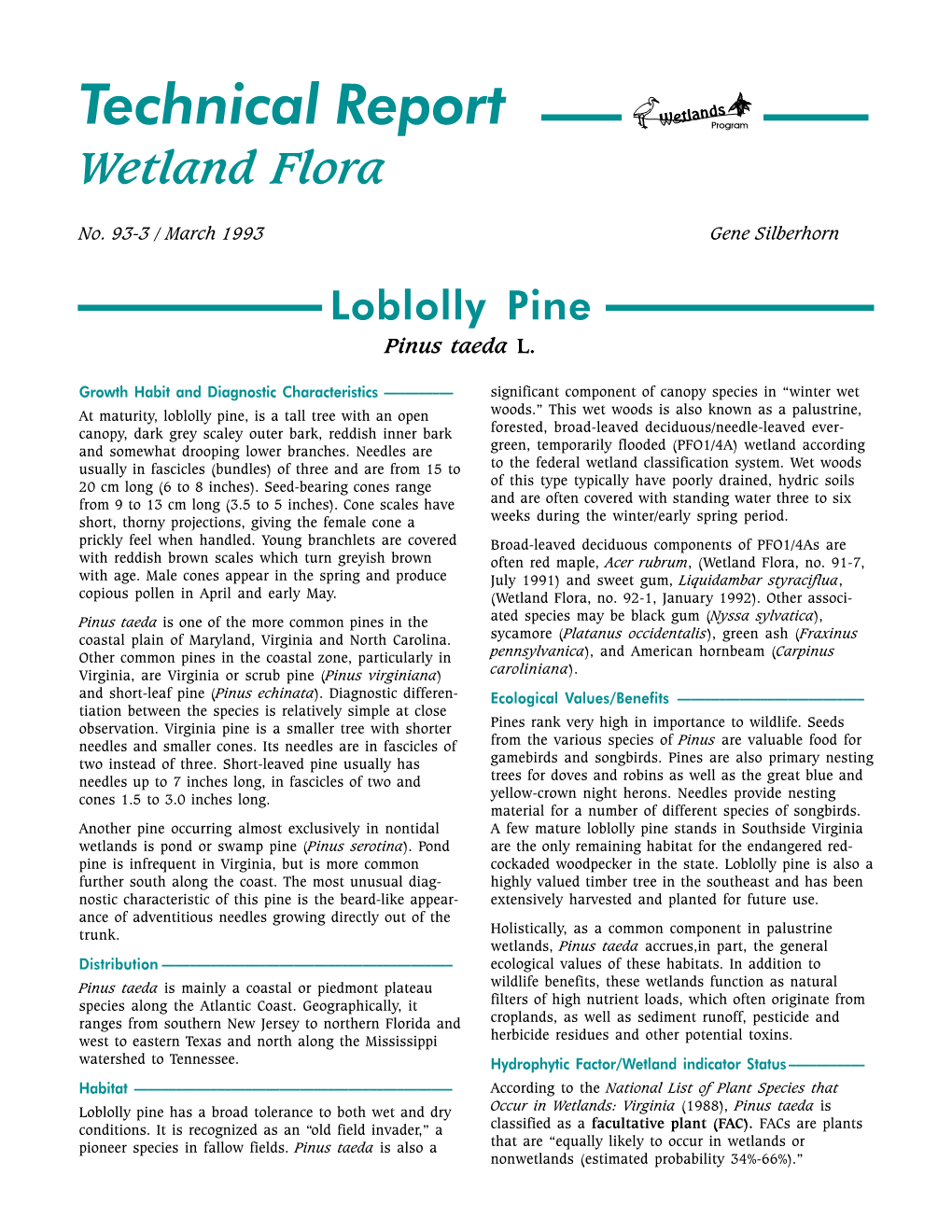 Loblolly Pine Pinus Taeda L