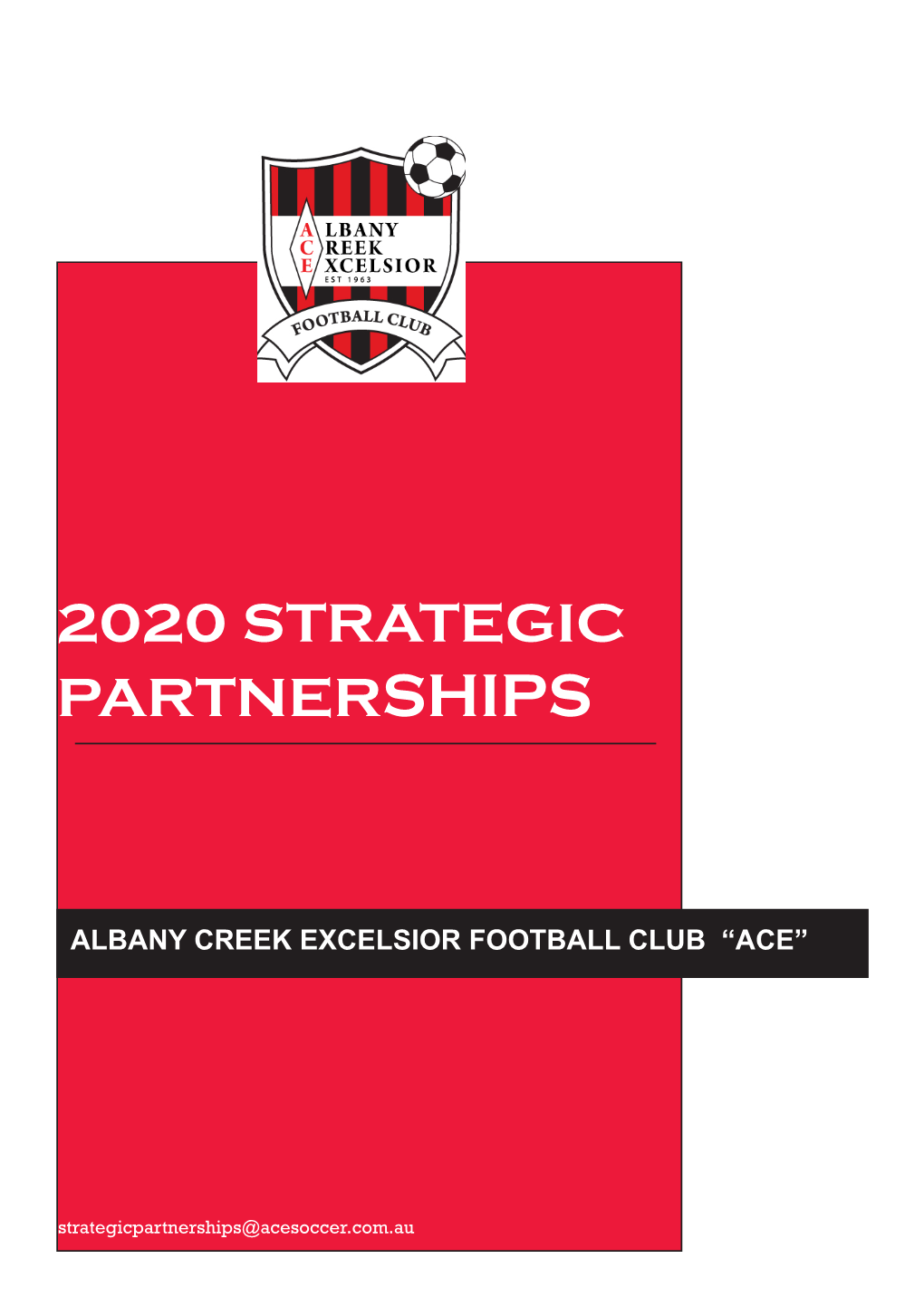 2020 Strategic Partnerships