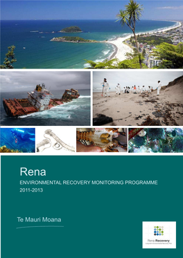 RENA Executive Summary