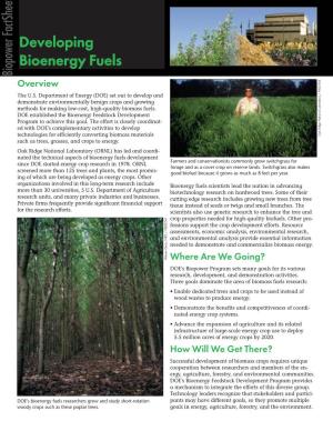 Developing Bioenergy Fuels Biopower Factsheet Overview the U.S