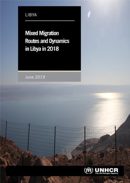 Mixed Migration Routes and Dynamics in Libya in 2018