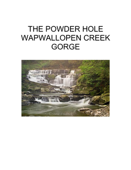 The Powder Hole Wapwallopen Creek Gorge