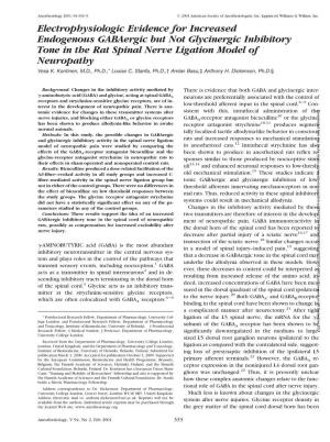 Electrophysiologic Evidence for Increased Endogenous Gabaergic but Not Glycinergic Inhibitory Tone in the Rat Spinal Nerve Ligation Model of Neuropathy Vesa K