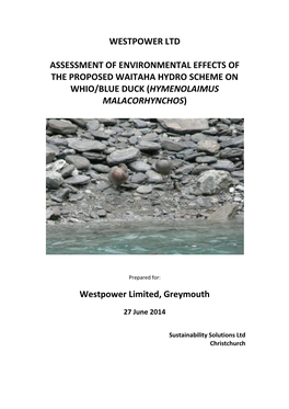Proposed Waitaha Hydro: Blue Duck Study Report