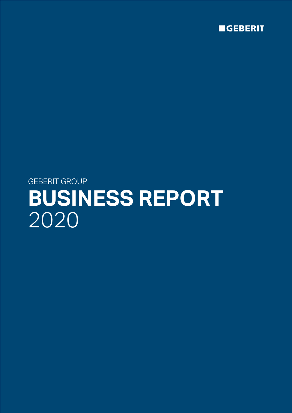 Business Report 2020