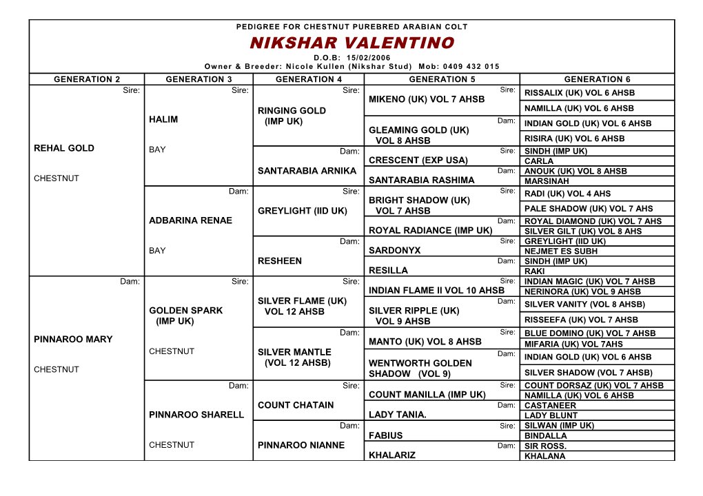 Pedigree for Chestnut Purebred Arabian Colt