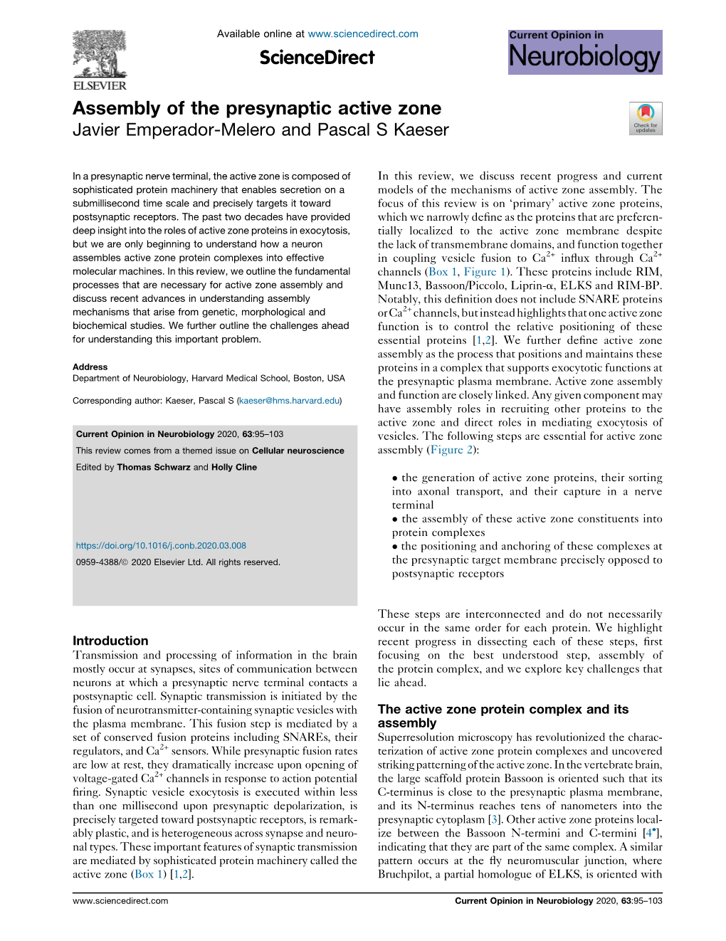 Assembly of the Presynaptic Active Zone