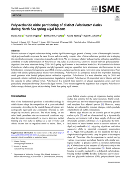 Polysaccharide Niche Partitioning of Distinct Polaribacter Clades During North Sea Spring Algal Blooms