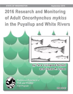 2016 Research and Monitoring of Adult Oncorhynchus Mykiss in the Puyallup and White Rivers