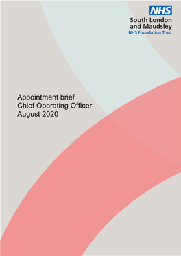 Appointment Brief Chief Operating Officer August 2020