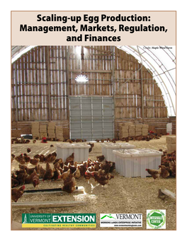 Scaling-Up Egg Production: Management, Markets, Regulation, and Finances