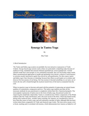 Synergy in Tantra Yoga
