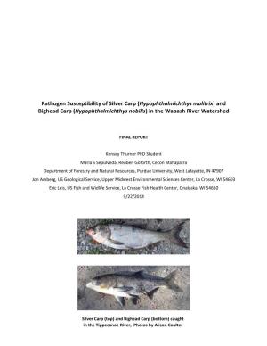 Pathogen Susceptibility of Silver Carp (Hypophthalmichthys Molitrix) and Bighead Carp (Hypophthalmichthys Nobilis) in the Wabash River Watershed