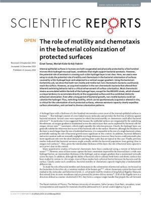 The Role of Motility and Chemotaxis in the Bacterial Colonization Of