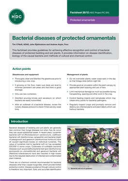 Bacterial Diseases of Protected Ornamentals