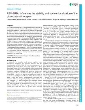 REV-Erbα Influences the Stability and Nuclear Localization of the Glucocorticoid Receptor Takashi Okabe, Rohit Chavan, Sara S