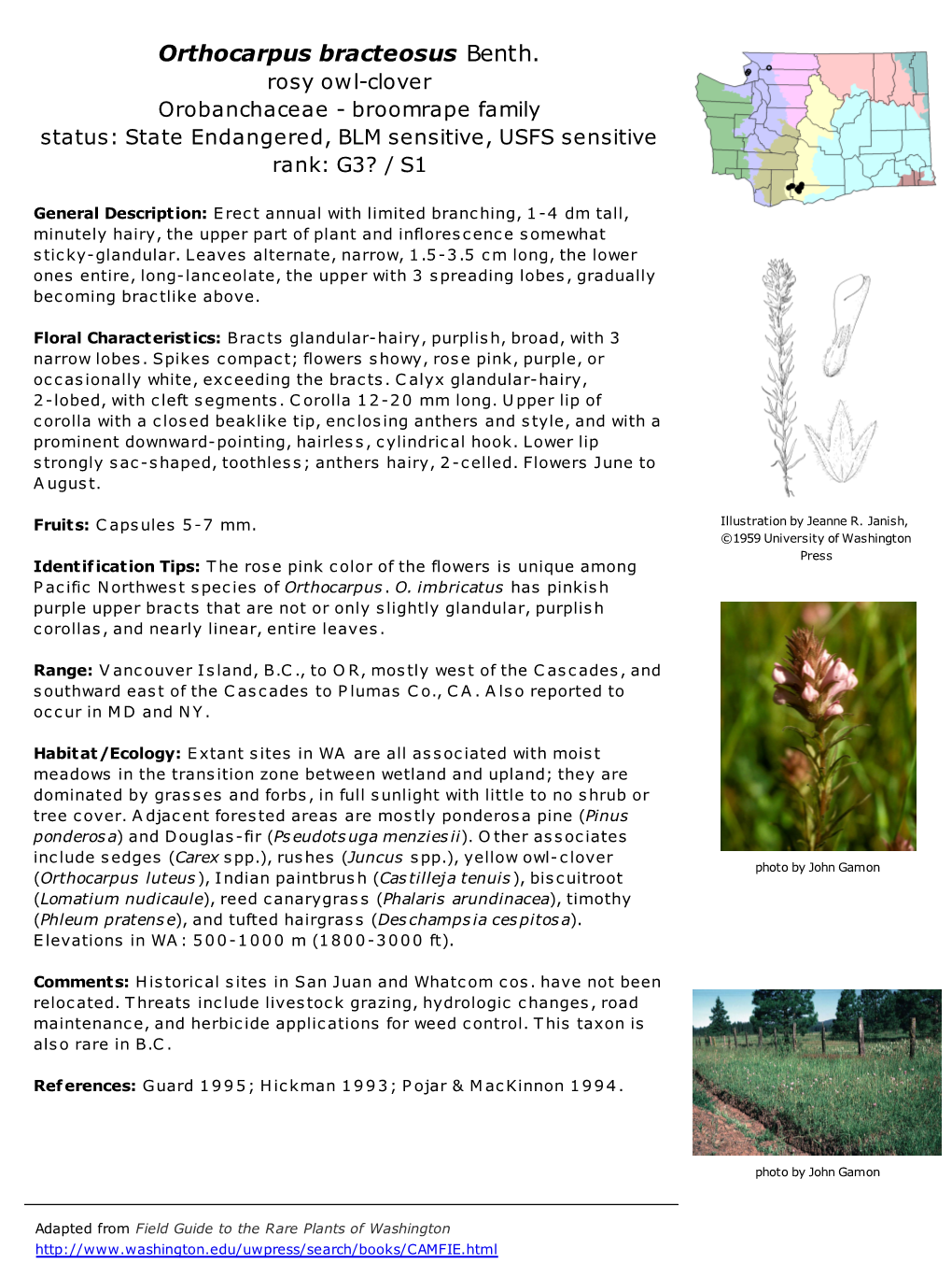 Orthocarpus Bracteosus Benth. Rosy Owl-Clover Orobanchaceae - Broomrape Family Status: State Endangered, BLM Sensitive, USFS Sensitive Rank: G3? / S1