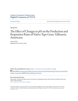 The Effect of Changes in Ph on the Production and Respiration Rates of Native Tape Grass, Vallisneria Americana" (2015)
