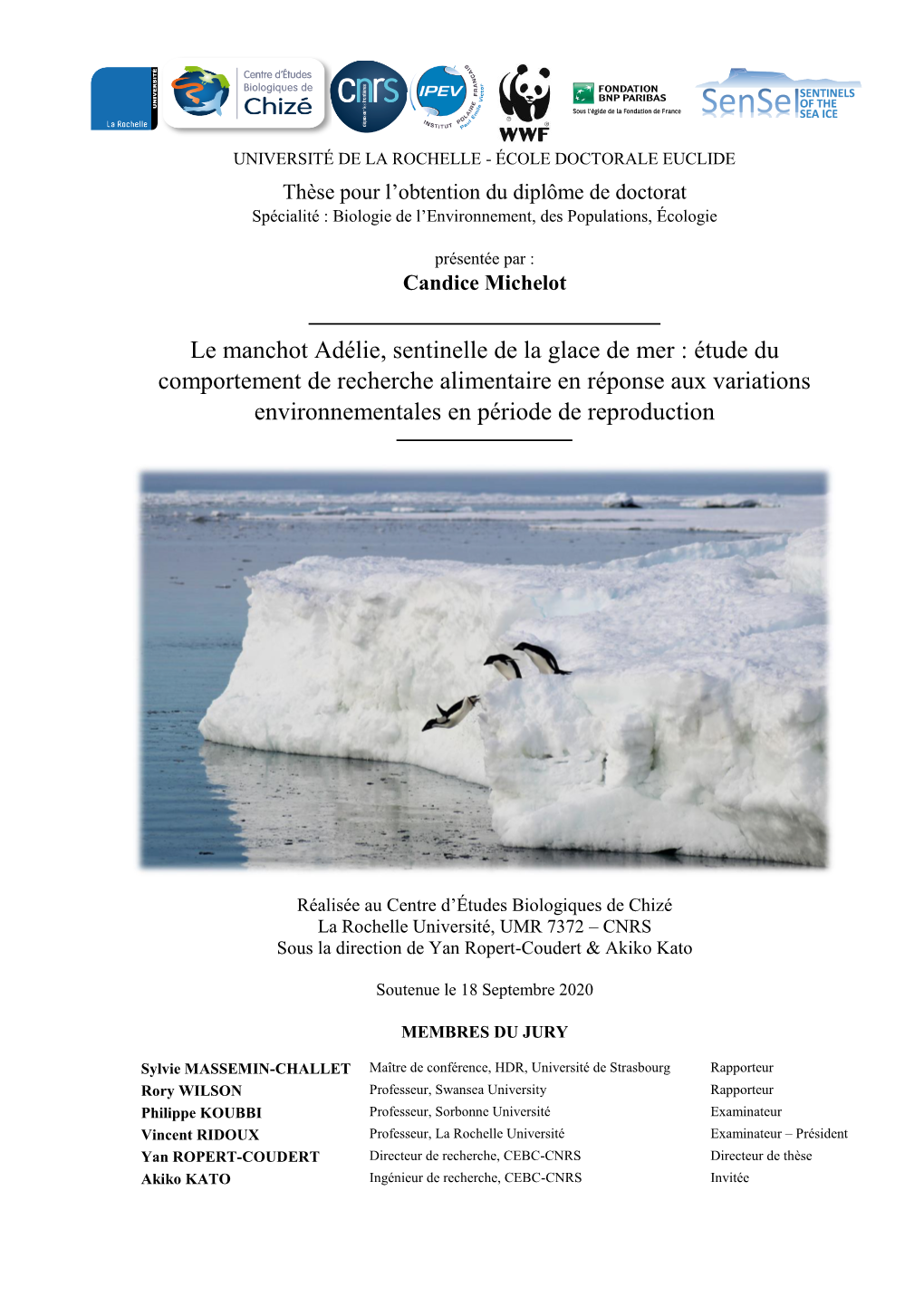 Le Manchot Adélie, Sentinelle De La Glace De