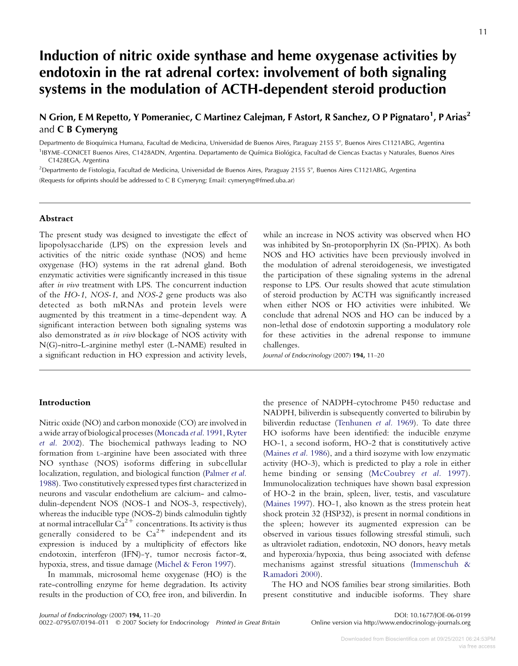 Induction of Nitric Oxide Synthase and Heme Oxygenase Activities by Endotoxin in the Rat Adrenal Cortex