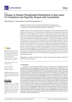 Changes in Hepatic Phospholipid Metabolism in Rats Under UV Irradiation and Topically Treated with Cannabidiol