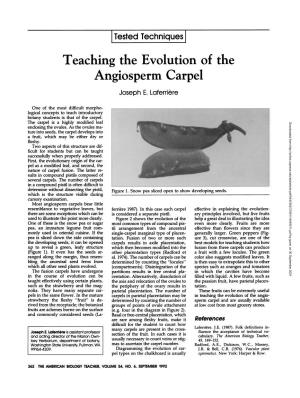 Teaching the Evolution of the Angiosperm Carpel