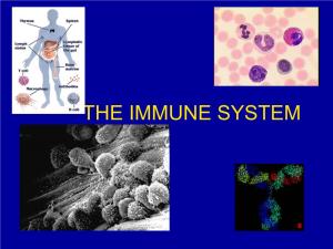 THE IMMUNE SYSTEM Blood Cells Cells of the Immune System