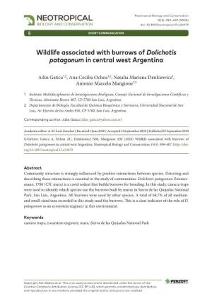Wildlife Associated with Burrows of Dolichotis Patagonum in Central West Argentina