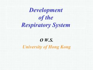 Development of the Respiratory System