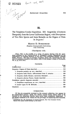 Crustacea Decapoda) from the Lower Californian Region, with Descriptions of Two New Species and Some Remarks on the Organs of Pesta in Sergestes?