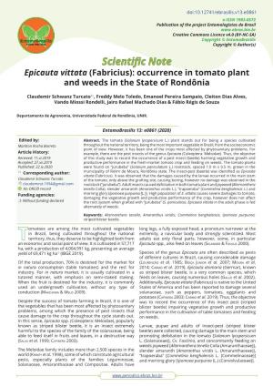 Epicauta Vittata (Fabricius): Occurrence in Tomato Plant and Weeds in the State of Rondônia