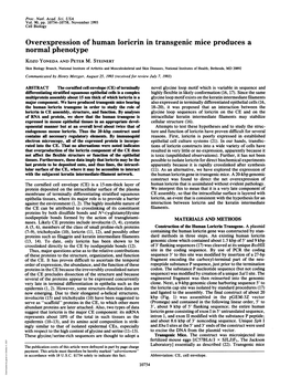 Overexpression of Human Loricrin in Transgenic Mice Produces a Normal Phenotype Kozo YONEDA and PETER M