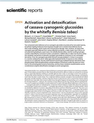 Activation and Detoxification of Cassava Cyanogenic Glucosides by the Whitefly Bemisia Tabaci