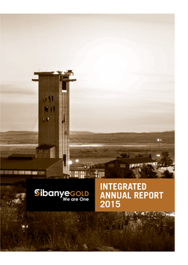 Integrated Annual Report 2015