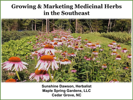 Growing & Marketing Medicinal Herbs in the Southeast