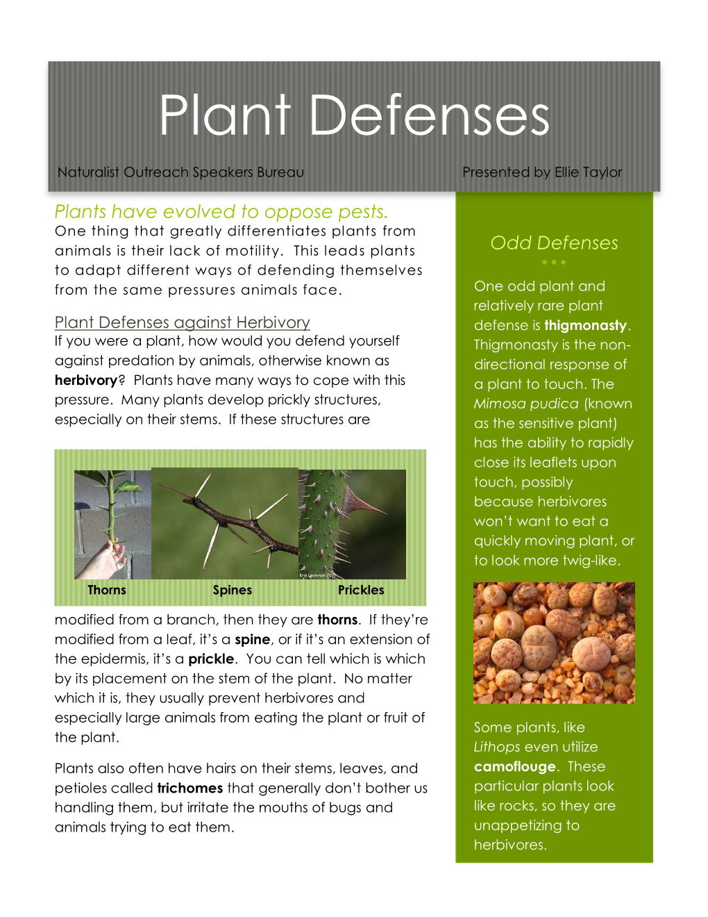Plant Defenses