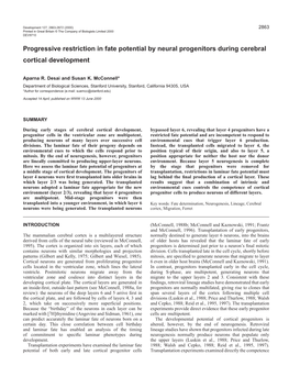 Progressive Restriction of Cortical Progenitor Cells 2865
