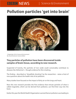 Pollution Particles 'Get Into Brain' the Estimate for the UK Is That 50,000 People Die Every Year with Conditions Linked to Polluted Air