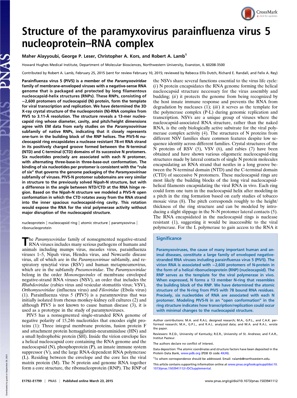 Structure of the Paramyxovirus Parainfluenza Virus 5 Nucleoprotein–RNA Complex