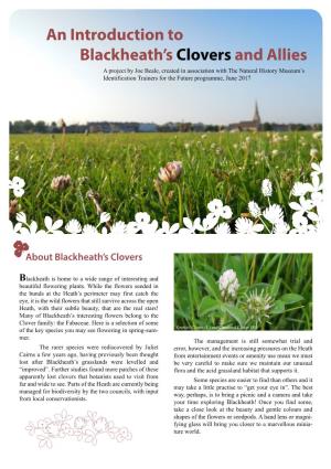An Introduction to Blackheath's Clovers and Allies